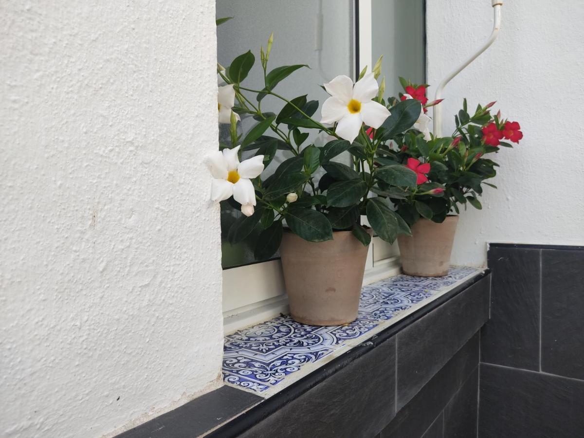Apartamento 700 Metros De La Playa Playa Flamenca Exterior photo